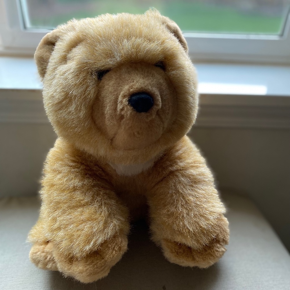 Gund Limited Edition Honey Bear